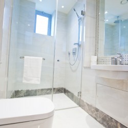 bathroom with toilet and douche, Belsize Apartments, Maida Vale, London NW6