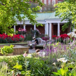 private garden for residents, Pimlico Corporate Apartments, Pimlico, London SW1