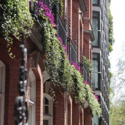 exterior, Piccadilly Apartments, Mayfair, London