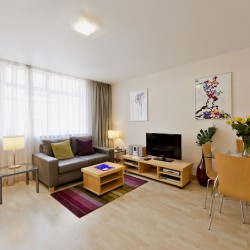 studio with wood floors, dining table with flowers, sofa and tv, Oxford Street Apartments, Marylebone, London W1