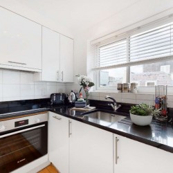 fully equipped kitchen with utensils, plant and flowers, Bond Street Apartments, Mayfair, London W1