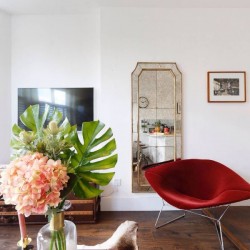 flower, red chair, large mirror and smart TV, Primrose Hill Apartment, Primrose Hill, London NW3t