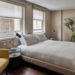 king size bed, chair and plant, Portland Apartments, Marylebone, London W1