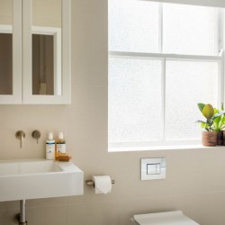 bathroom with sink, mirrors and plants, 1 bedroom apartment
