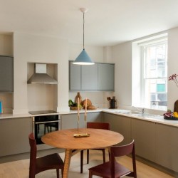 grey kitchen with dining table, flowers and decorations, 1 bedroom apartment