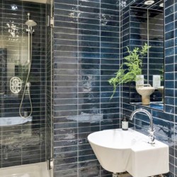 bathroom with shower cabinet, sink and plant,Cromwell Road Executive, Kensington, London SW5