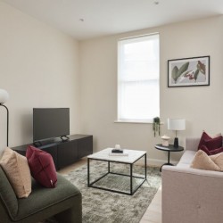 living room with chair, console with TV, coffee table, sofa and large plant, Munster Apartments, Fulham, London SW6